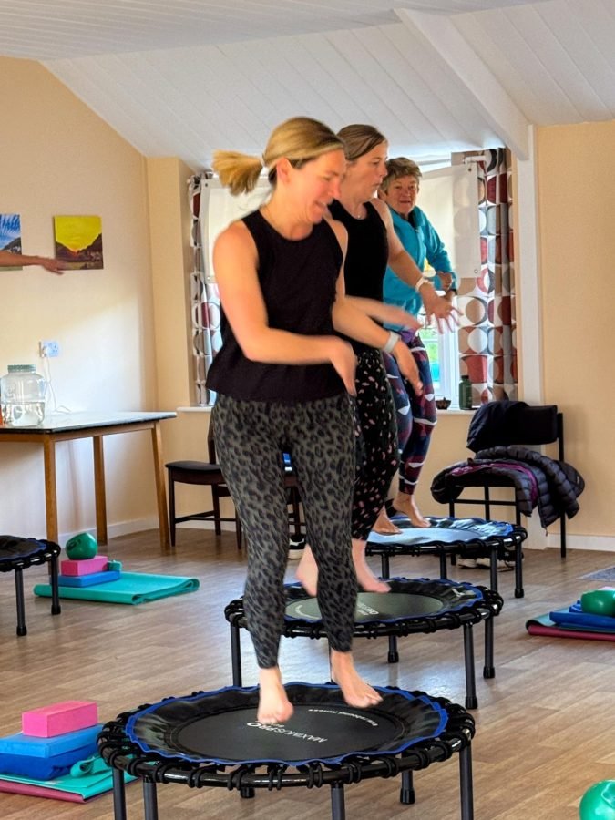 BIS-25-REBOUNDING-FUN-675x900